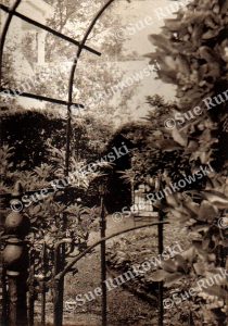 image of a garden with wrought iron fence and gate