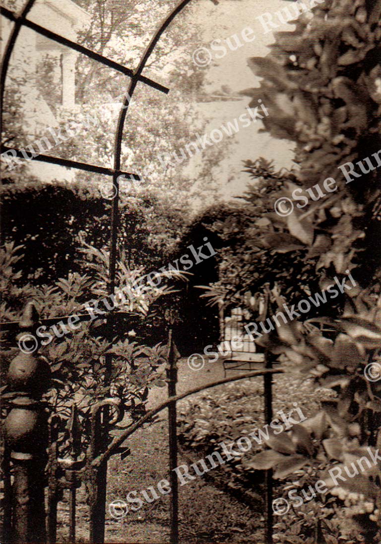 image of a garden with wrought iron fence and gate