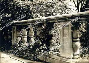 image of a stone balustrade railing with ivy