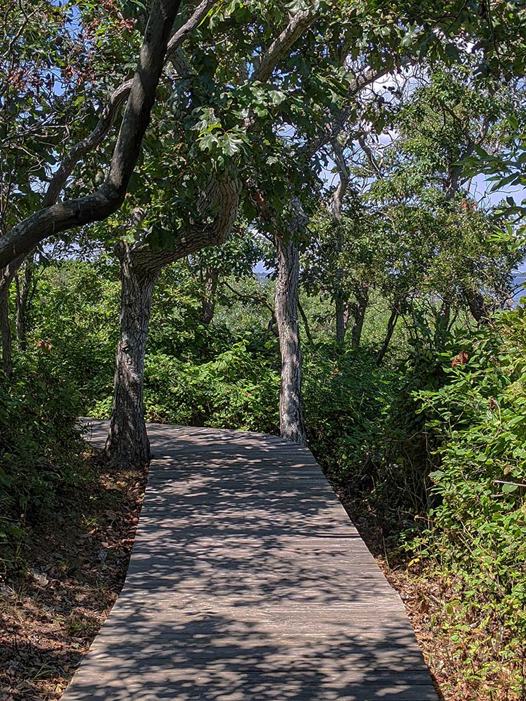 image of a pathway at the beach